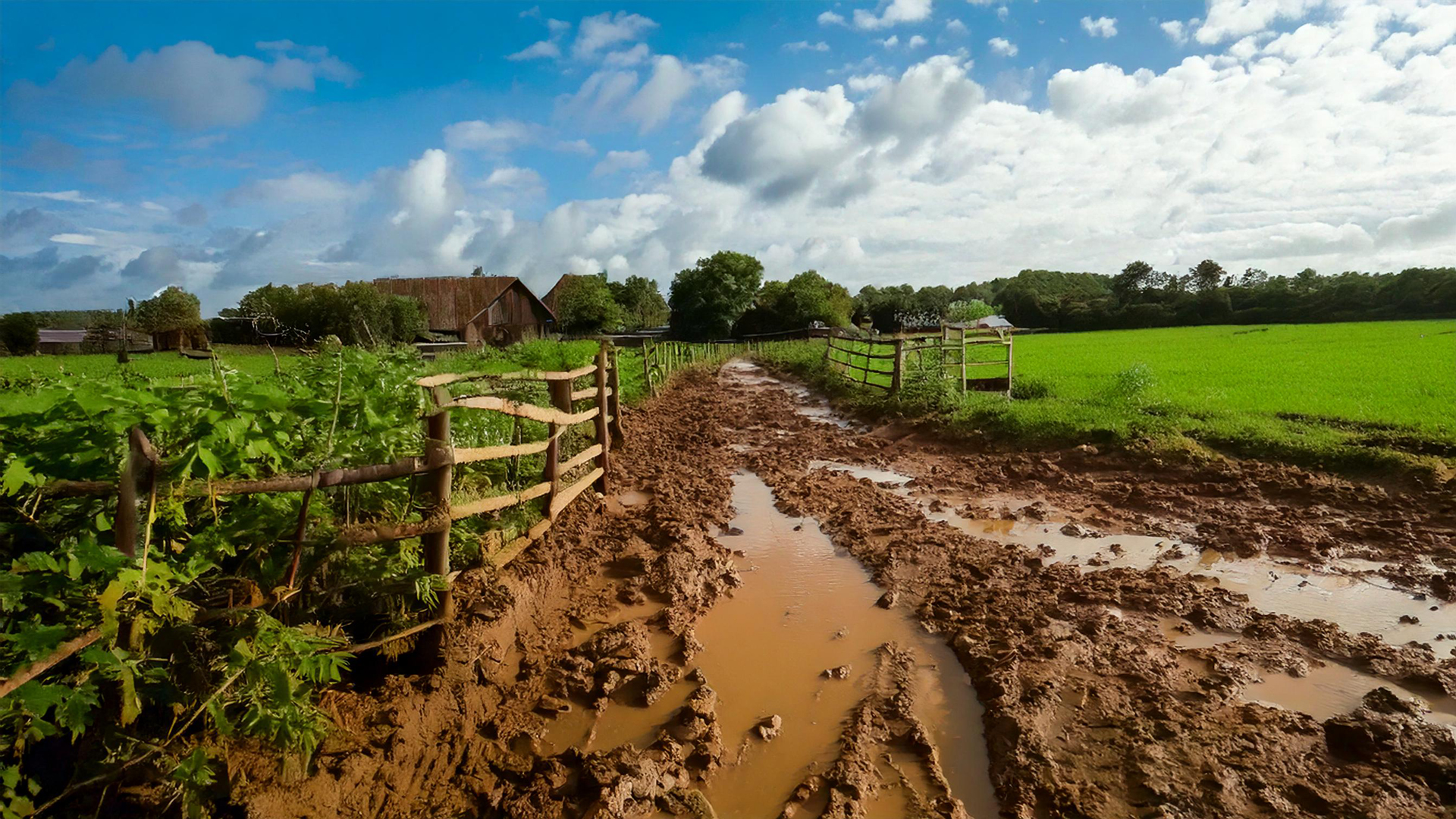 UK Farmland with muddy pathways and blue skies